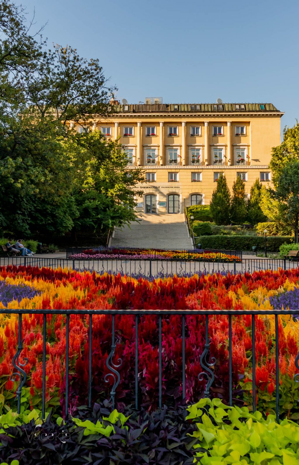 A házasságkötés bejelentésekor nyilatkozni kell a házassági névről és a születendő gyerekek családnevéről