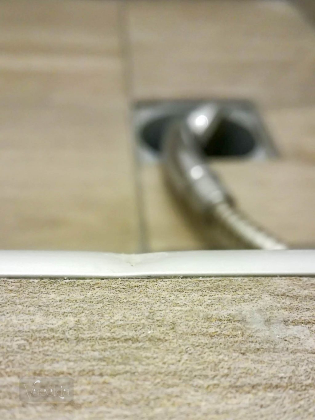 Szegény élvédő az új zuhanyzó küszöbén